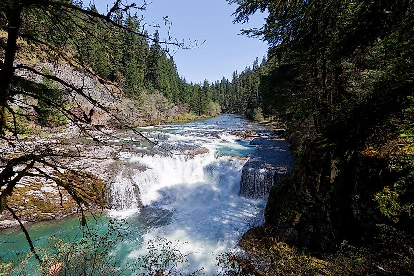 This is one of the numerous spectacular views of the North Umpqua River located in the Umpqua National Forest.