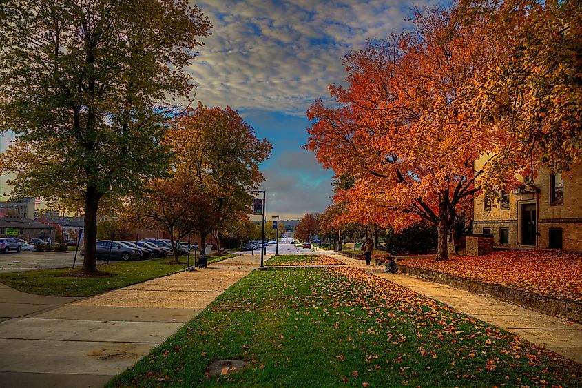 Fall colors in Rolla, Missouri