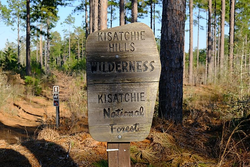  Backbone Trail on Kisatchie National Forest within Louisiana.