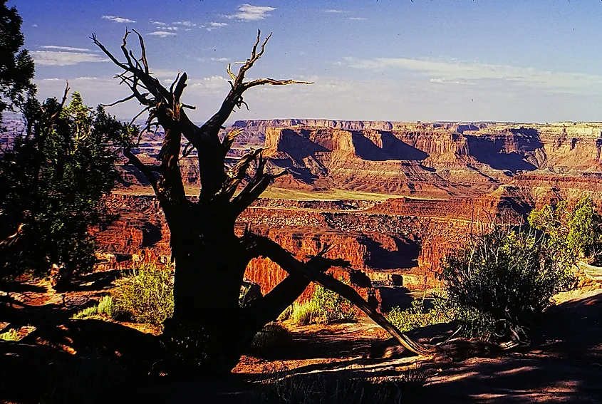 Sunrise at Dead Horse Point State Park, Utah.