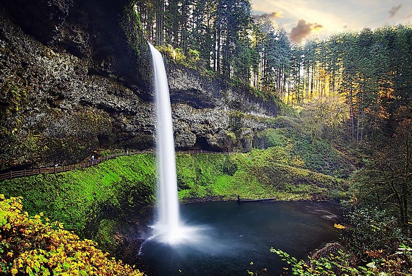 Silver Falls, Oregon