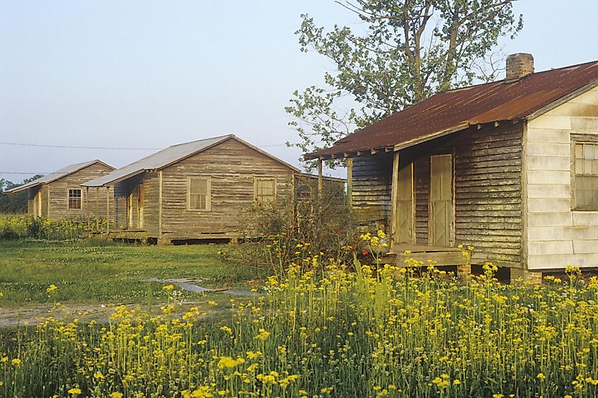 Historic wooden homes in Thibodaux, Louisiana.