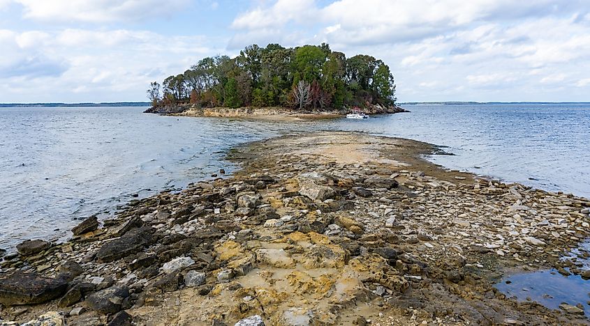 Beautiful islands in Sam Rayburn Reservoir in Texas.