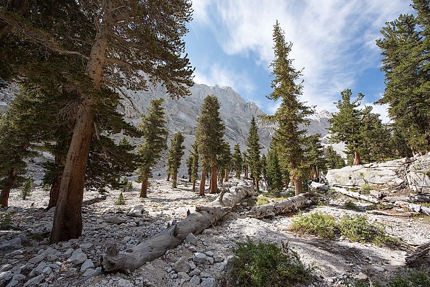 Mount Whitney 