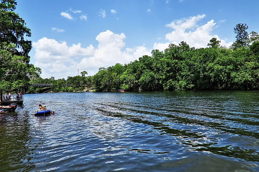 The dark, winding waters of the Suwannee River.