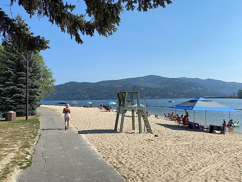 A walking path parallels a sandy lake beach on a cloudless day.