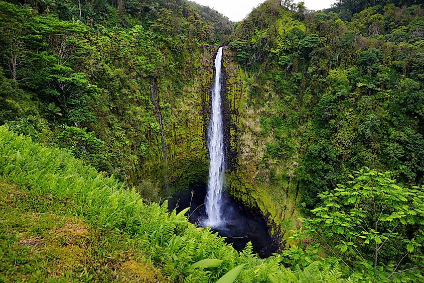 Akaka Falls State Park