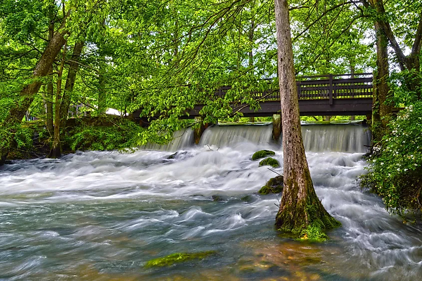 This striking photo was captured on a summer afternoon at Meramec Spring Park in St. James, MO. Meramec Spring Park is one of the beautiful spots to be found in Missouri.