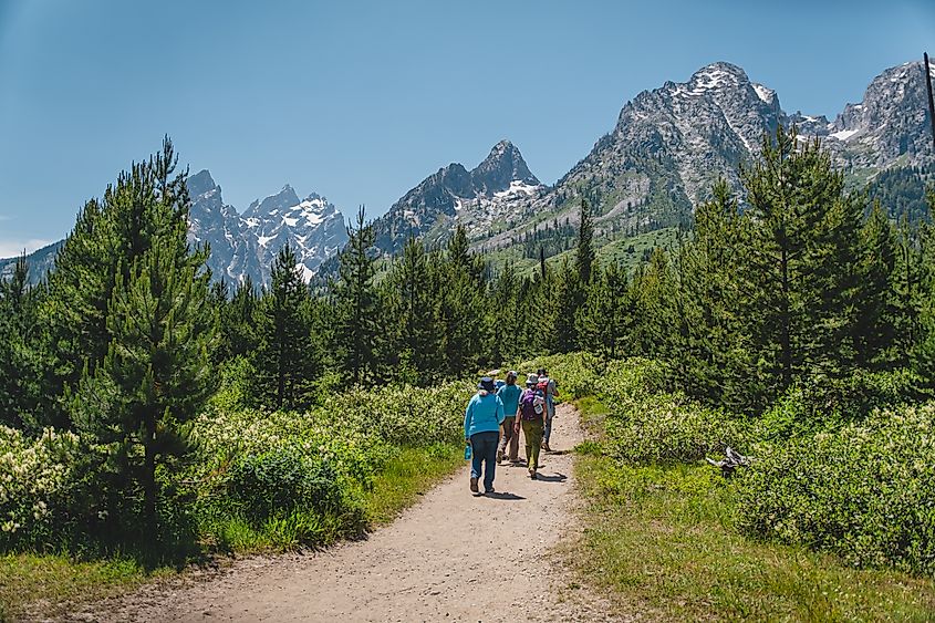People hiking toward the Teton Mountain range in the Grand Teton National Park.