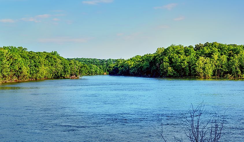 A view looking down stream on the Catawba river with forest on each side in Rock Hill, South Carolina