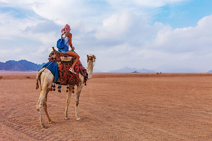 Sinai Peninsula 