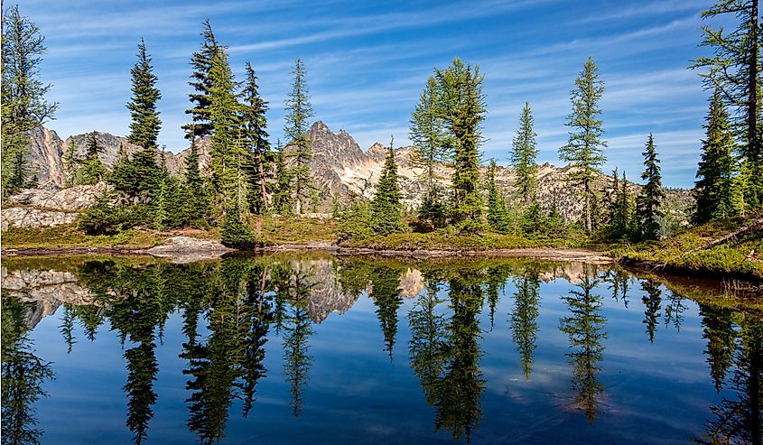 Trees reflecting in a pond near Blue Lake, Winthrop, WA on a sunny day