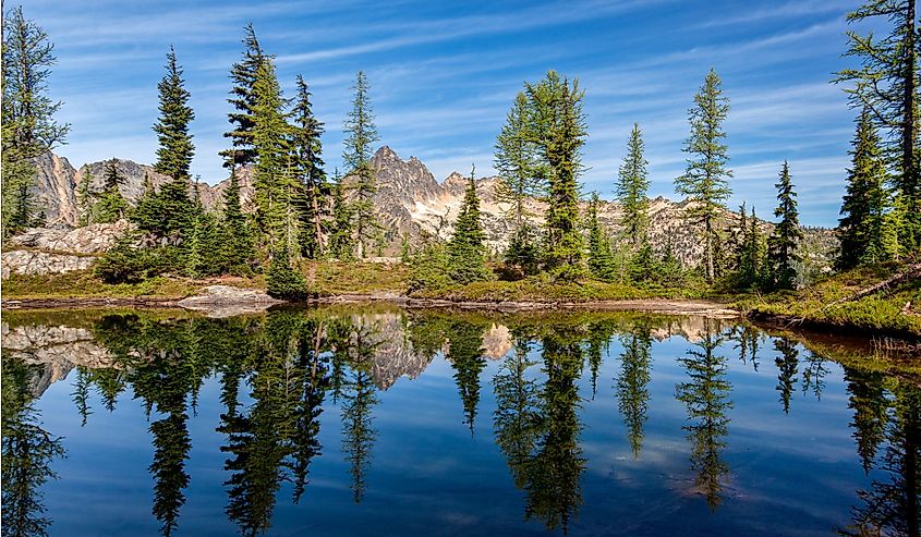 Trees reflecting in a pond near Blue Lake, Winthrop, WA on a sunny day.