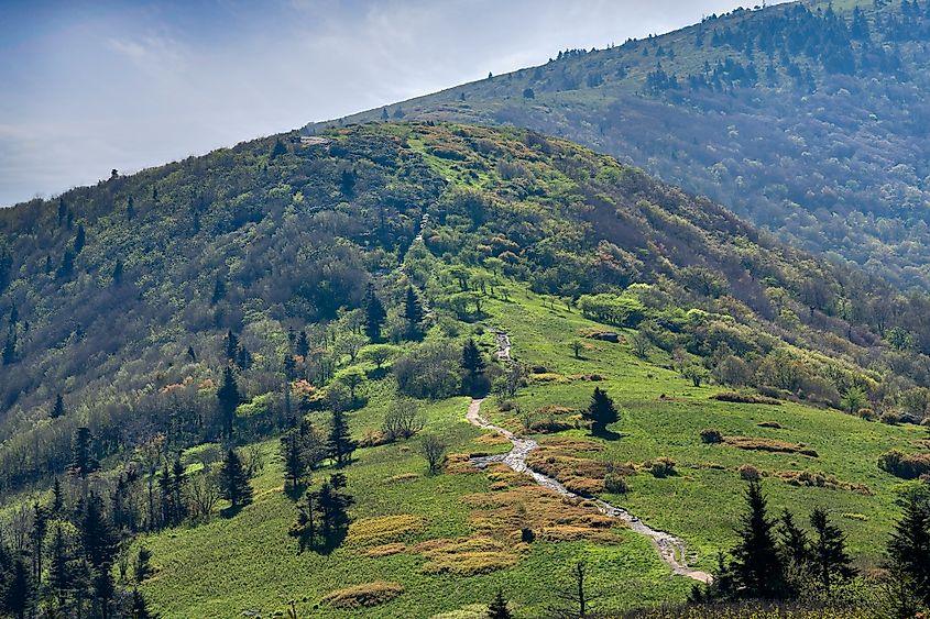 A view of the Appalachian Trail from atop Round Bald. 