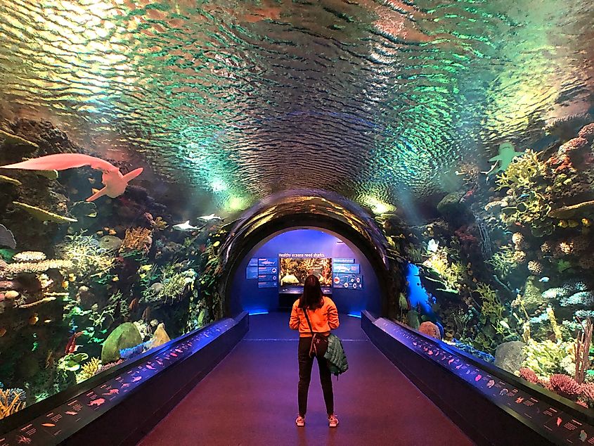 New York Aquarium in Coney Island, NY. Editorial credit: shu2260 / Shutterstock.com