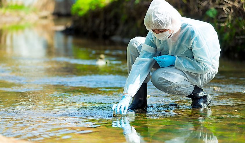 Scientist takes sample of water in polluted river. 