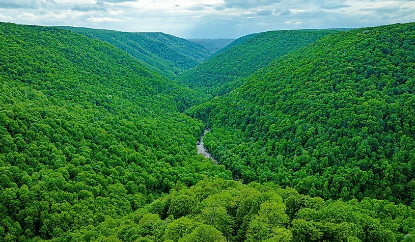 Located in Davis, West Virginia, Lindy Point offers a breathtaking viewpoint overlooking Blackwater Canyon.