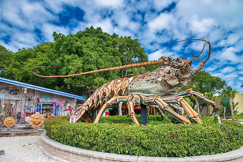 The Big Betsy spiny lobster sculpture at the Rain Barrel Shop in the Florida Keys against blue sky.