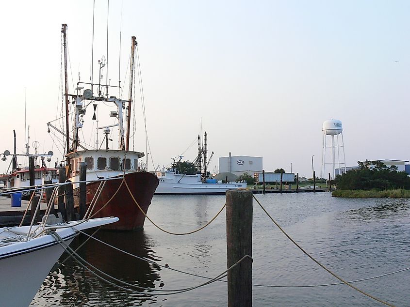 Boats at the entrance to Wanchese Harbor, Wanchese, North Carolina