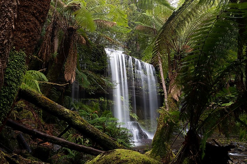 Nelson Falls, Franklin-Gordon Wild Rivers National Park, Tasmania, Australia