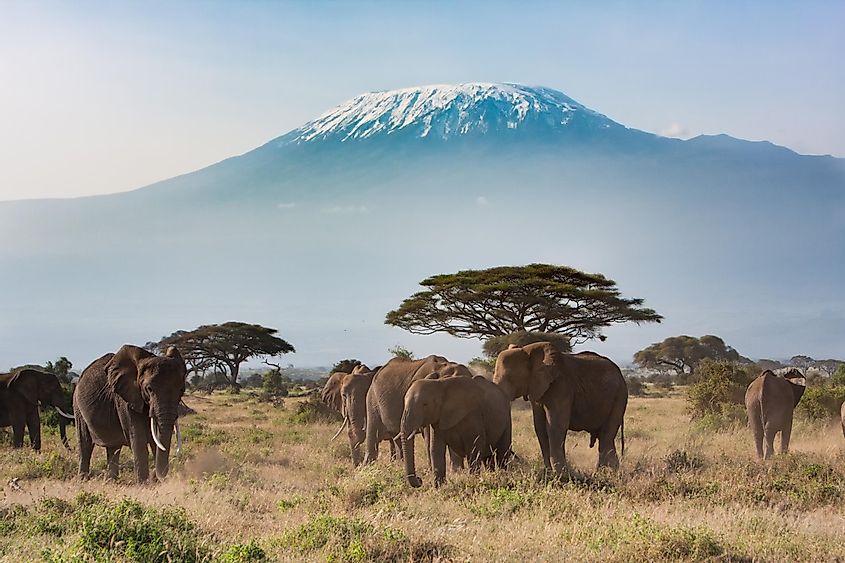 Monte Kilimanjaro desde el Parque Nacional Amboseli