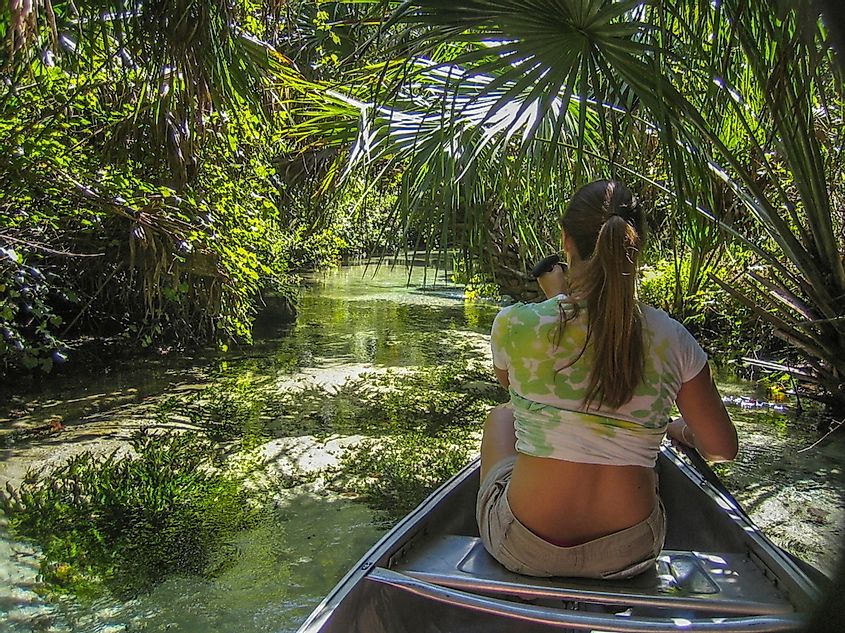 A woman kayaking through a waterway in the Ocala National Forest.