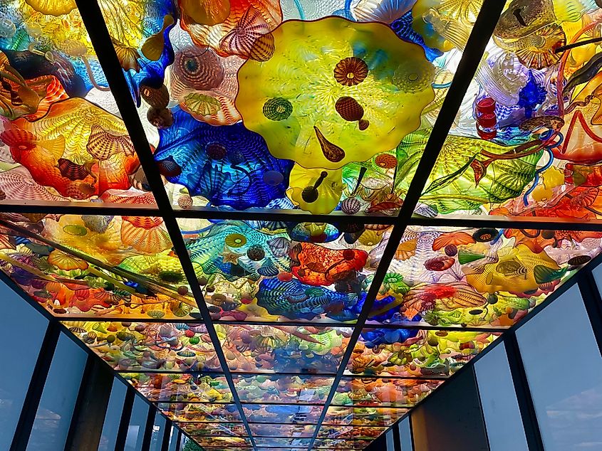 Close up of Chihuly glass art at the Museum of Glass