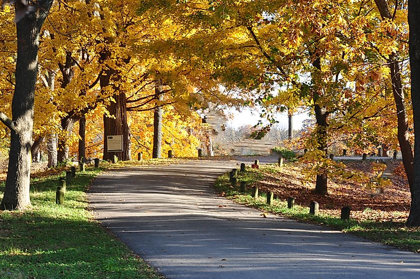 A line of trees on a path at the Morton Arboretum in Lisle, Illinois in the fall. Credit: Kim Lewis Photography/Shutterstock.com