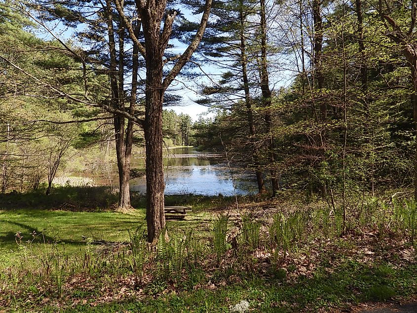 Haystack Mountain State Park