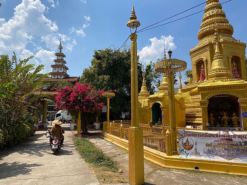 An Asian woman in a traditional farming hat rides a motorcycle passed a golden stupa, toward the temple gate.