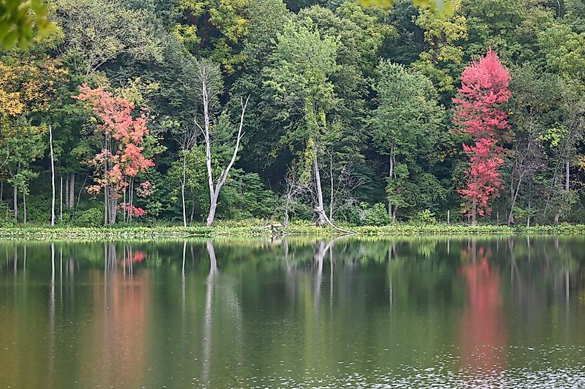 The fall colors are starting to show at Chain-o-Lakes state park in Indiana. Credit: Lindylouwho/ Shutterstock.com
