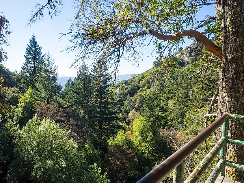Castle Rock State Park is a state park located along the crest of the Santa Cruz Mountains. It embraces coast redwood, Douglas fir, and madrone forest