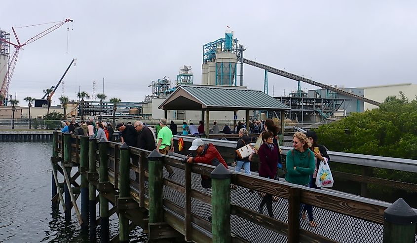 Viewing platform at the Manatee Viewing Area in Apollo Beach, Florida.