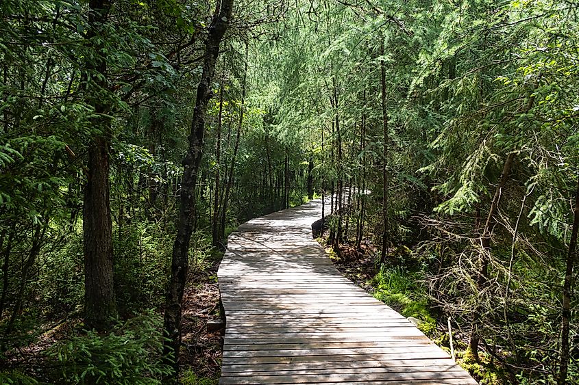 A trail through Refuge Pageau in Amos, Canada.