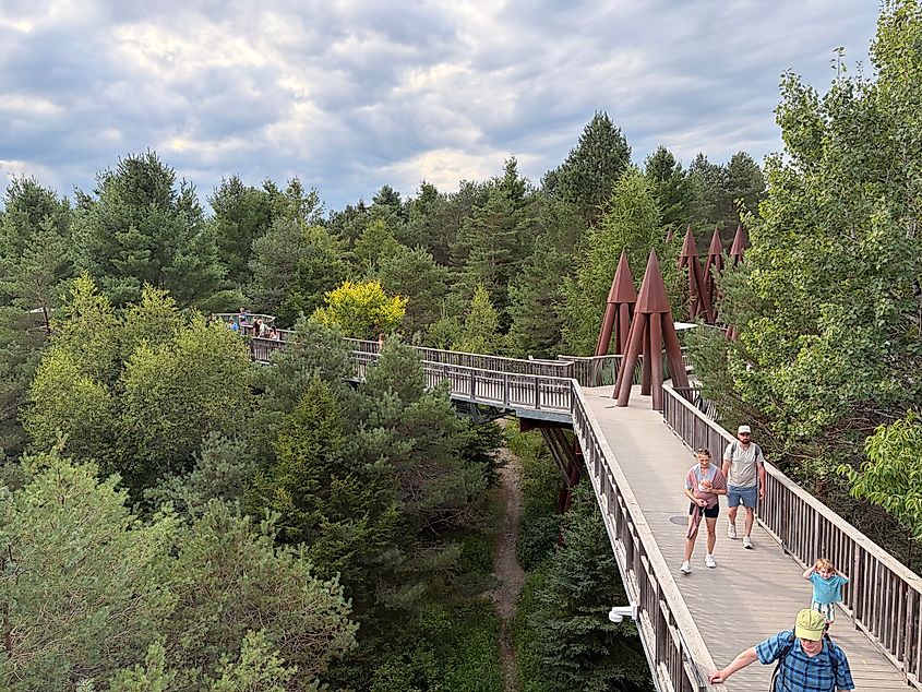 The Wild Walk at the Wild Center in Tupper Lake, New York. Editorial credit: Dclemens1971, CC BY 4.0, https://commons.wikimedia.org/w/index.php?curid=197395598