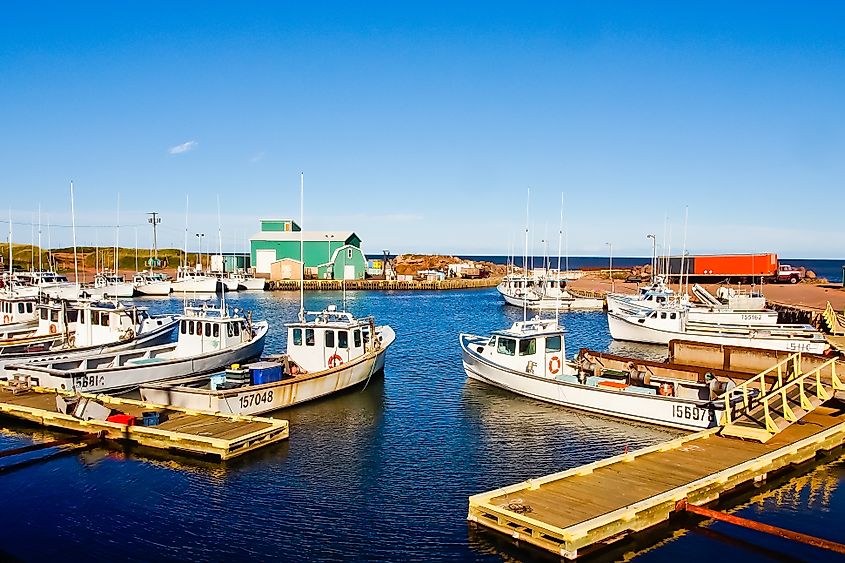Panoramic view of lobster boats docking at the wharf in Tignish, PEI