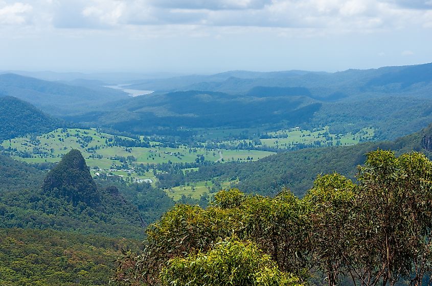 Lamington National Park in Queensland, Australia.