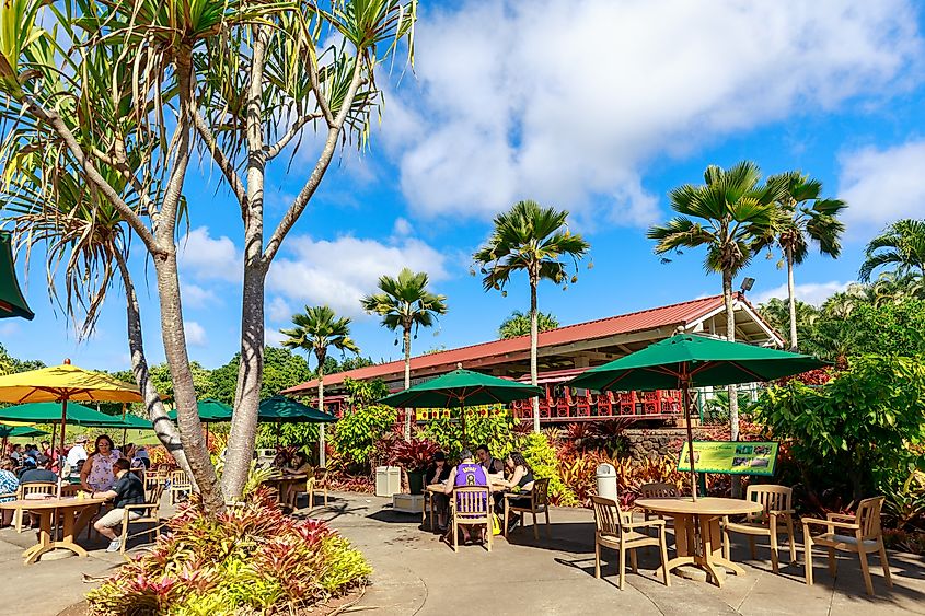 Wahiawa, Hawaii - Dec 25, 2018 : View of the Dole Pineapple Plantation in Wahiawa, Tour destination. ARTYOORAN via Shutterstock