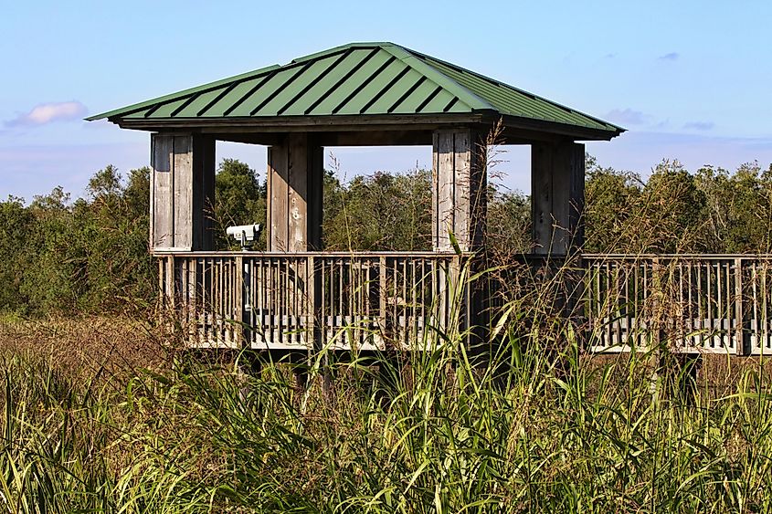 Cameron Prairie National Wildlife Refuge