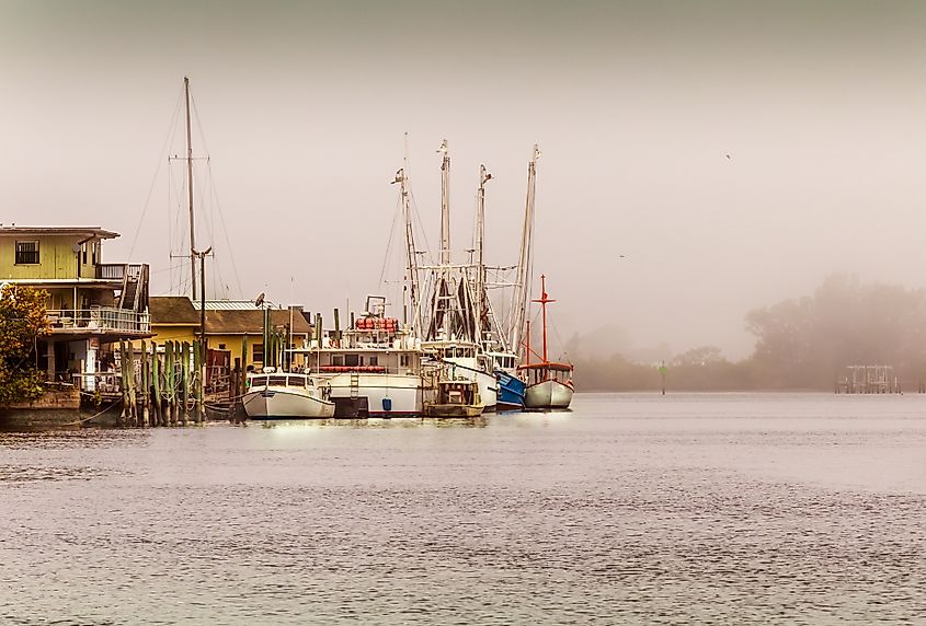 Tarpon Springs in winter