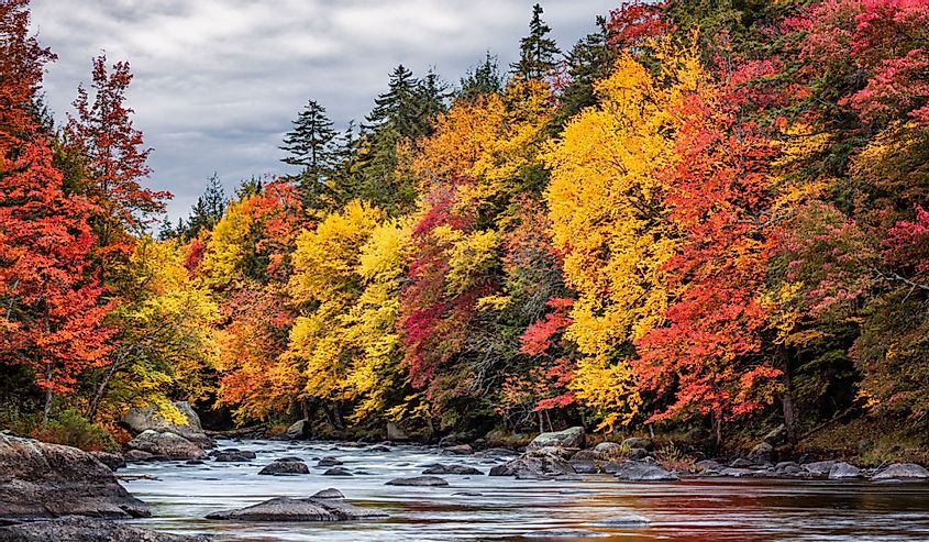New York, Adirondacks, Long Lake, autumn color along the Raquette River
