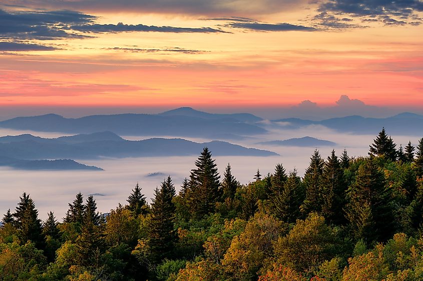 Inversion clouds at sunrise along the Blue Ridge Parkway in North Carolina