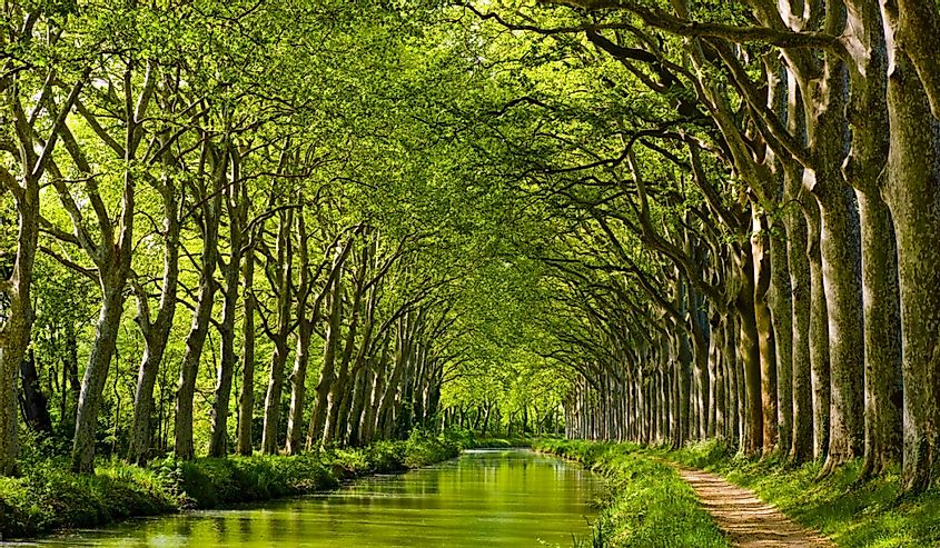 Late spring look on Canal du Midi canal in Toulouse, southern France