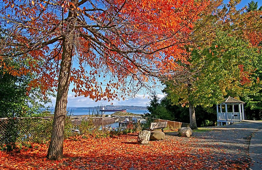 Tacoma, Washington, in fall.