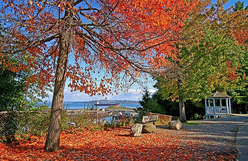 Tacoma, Washington, in fall.