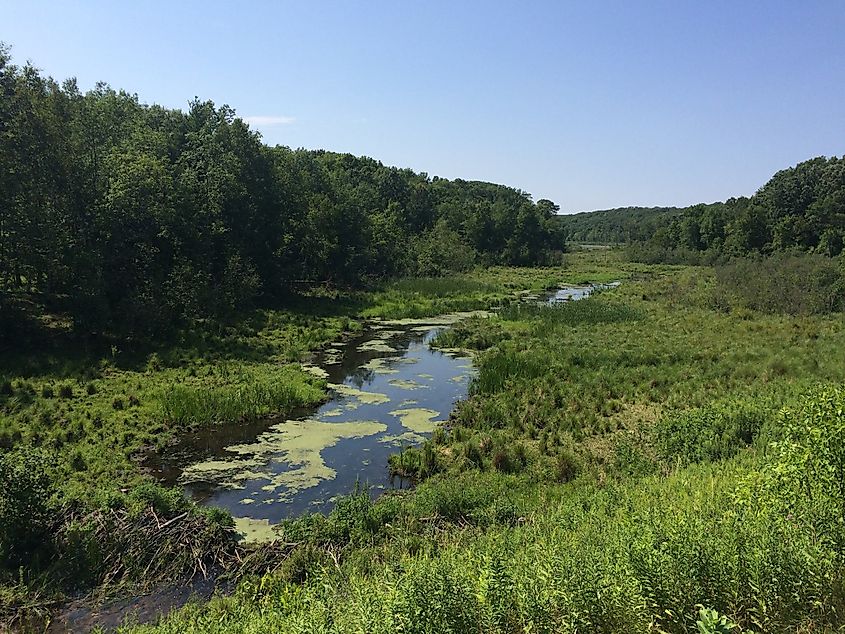 Straight River in Luck, Wisconsin
