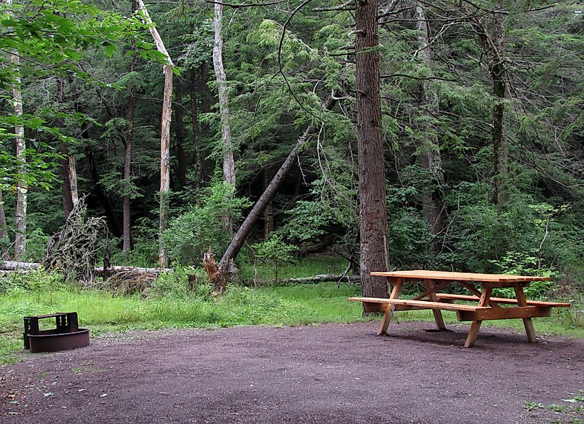 A campsite in Ricketts Glen State Park in Benton, Pennsylvania.