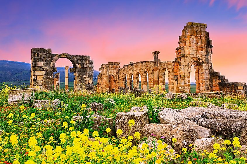 Ancient ruins in Volubilis, Morocco.