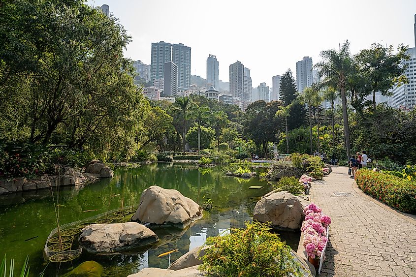 Hong PARK gardens