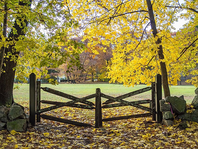 A fall day in Dedham, Massachusetts.